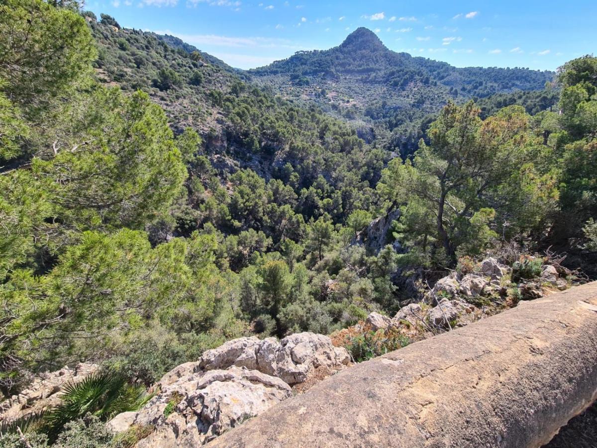 Wunderschoene Ruhige Finca Mit Pool In Galilea Galilea  Buitenkant foto