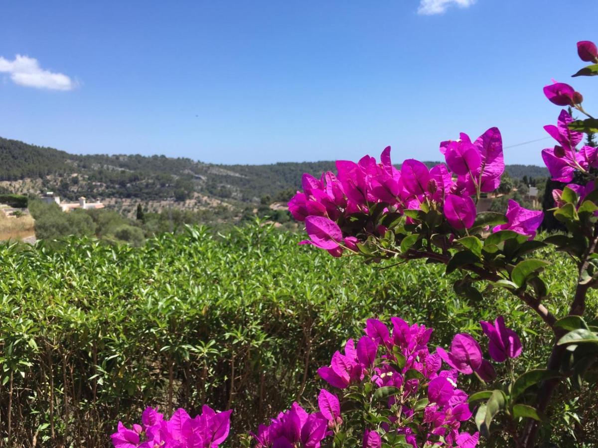 Wunderschoene Ruhige Finca Mit Pool In Galilea Galilea  Buitenkant foto
