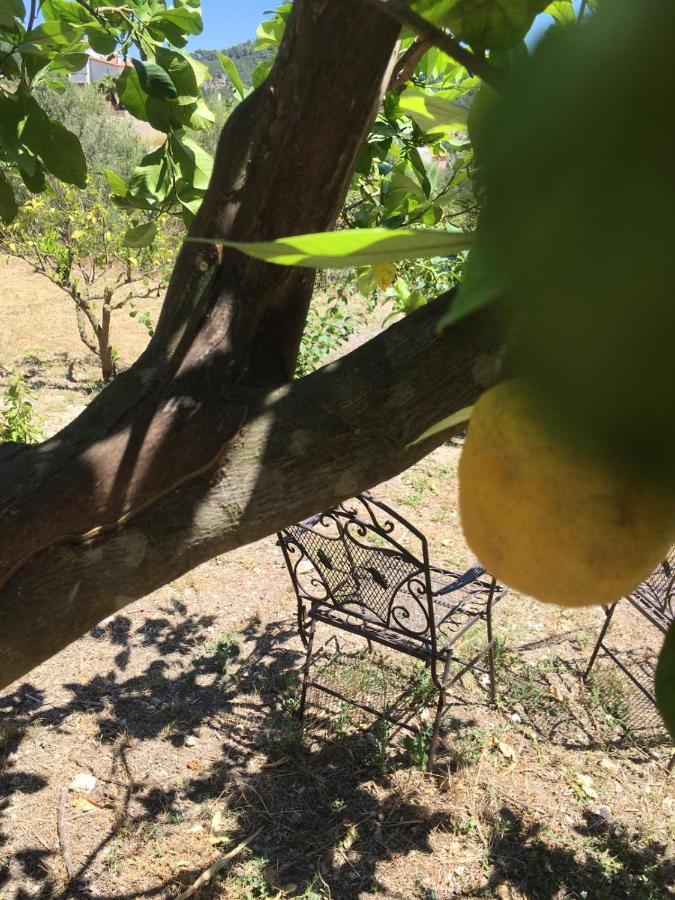 Wunderschoene Ruhige Finca Mit Pool In Galilea Galilea  Buitenkant foto